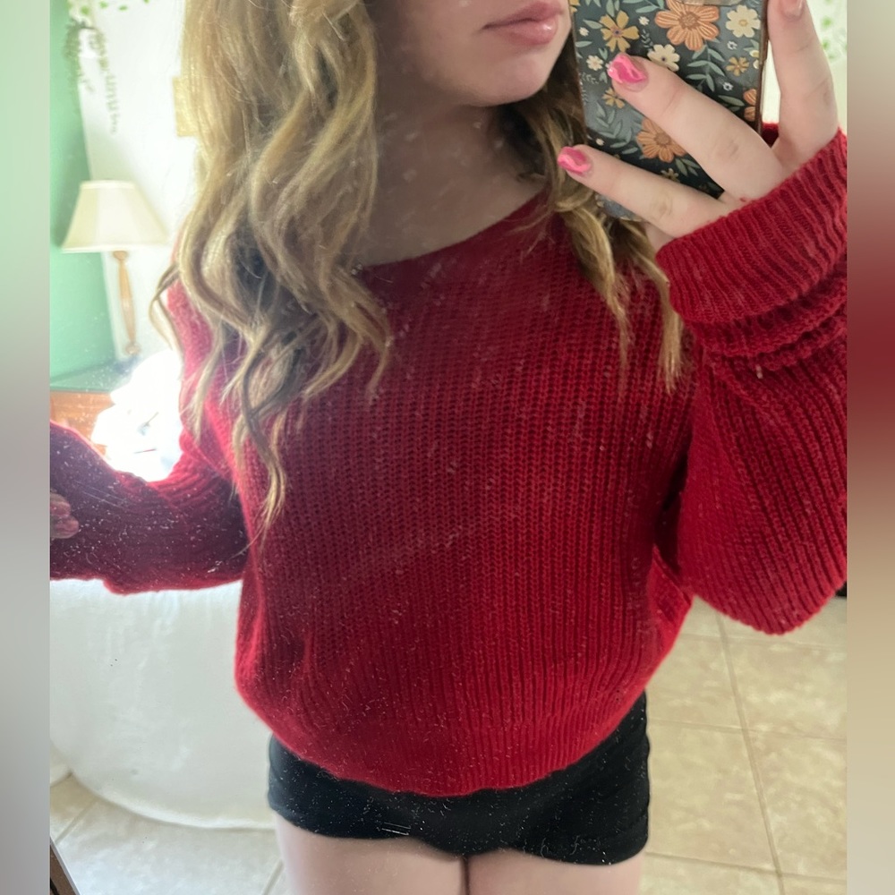 Wild Fable Short Red Sweater Red Knitted